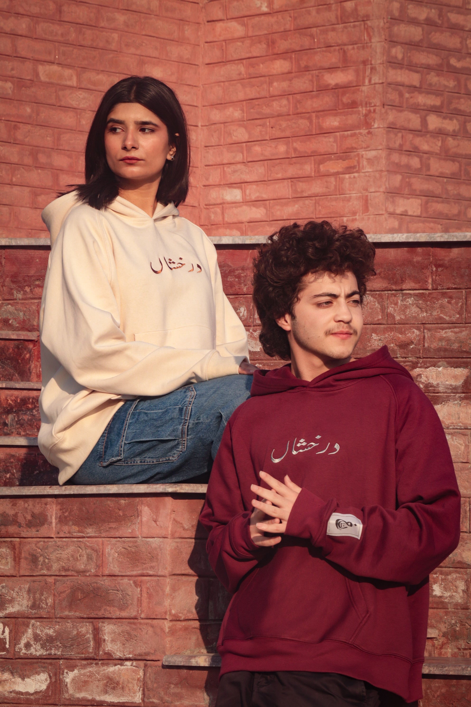 Darakhshaan Embroided American Cut Hoodie | Overfit