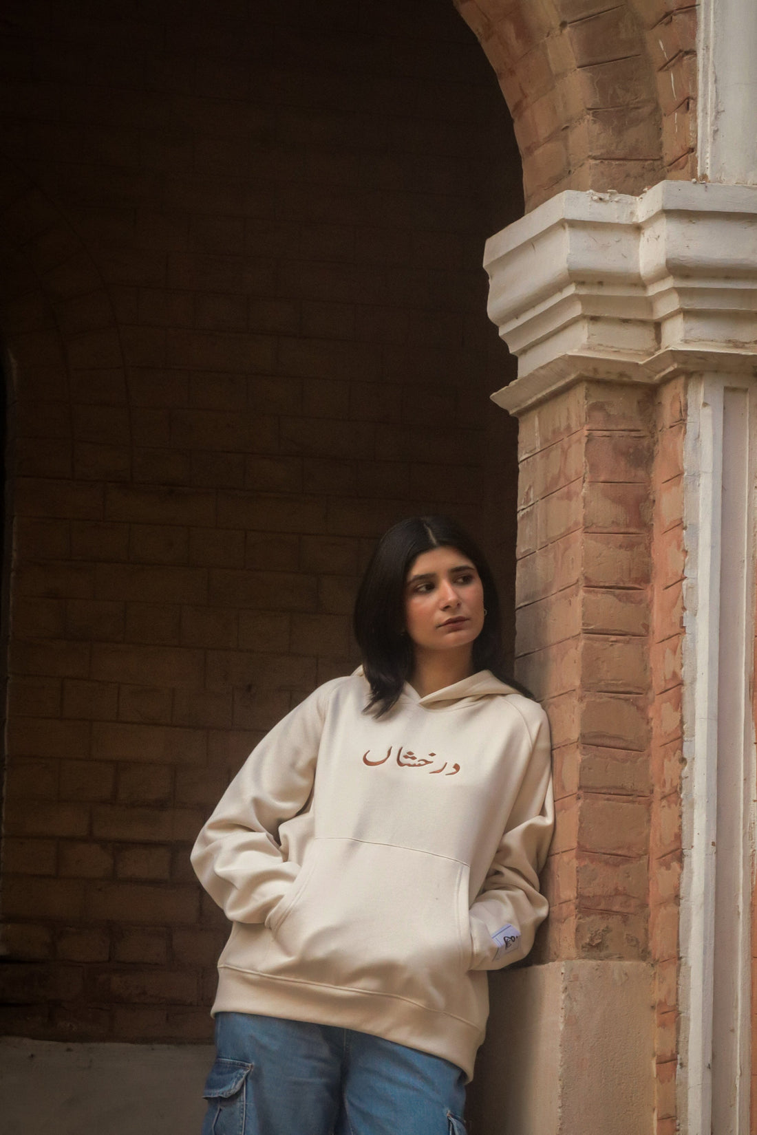 Darakhshaan Embroided American Cut Hoodie | Overfit