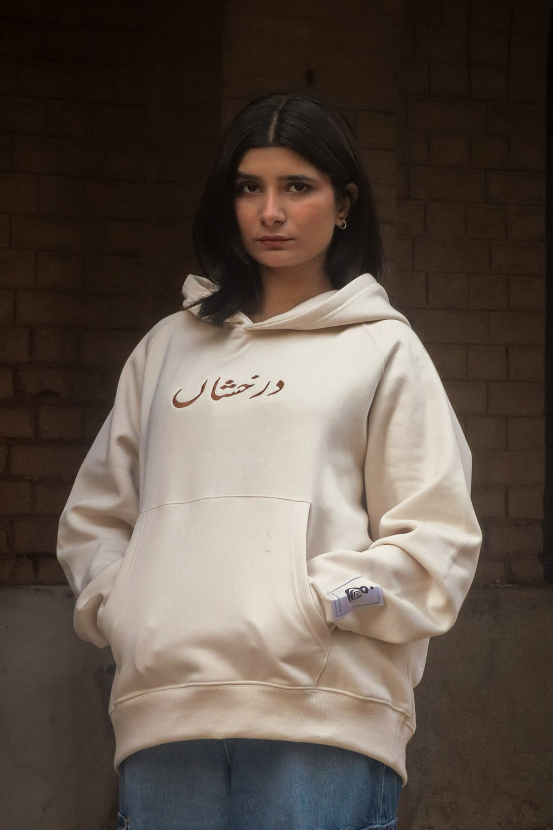 Darakhshaan Embroided American Cut Hoodie | Overfit